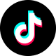 icon-contact-tiktok-2x